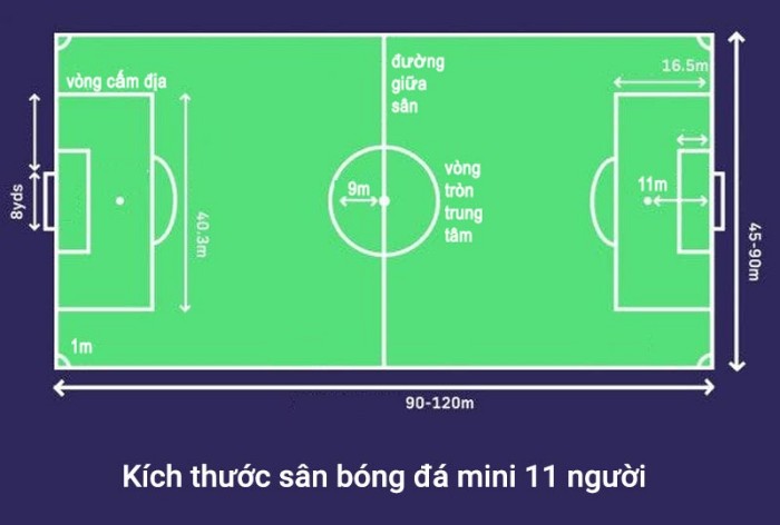 Bố cục của một sân bóng và vòng cấm địa 