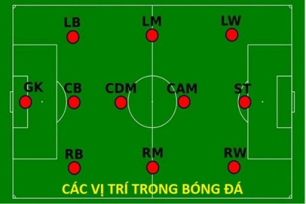 WF là vị trí nào trong đội bóng? Tố chất cần có của một WF