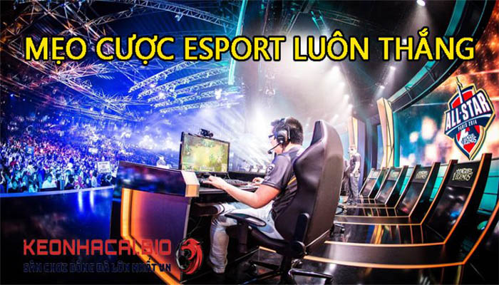 cá cược thể thao esports